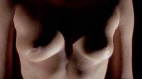 Sharon Higgins in The Odd Angry Shot (1979) Breasts Breasts Brunette 728184