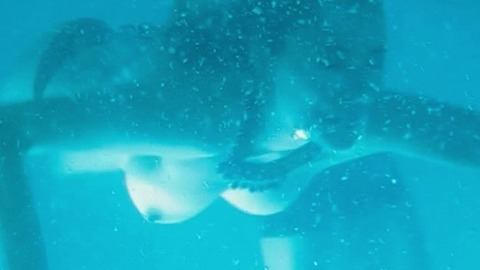 Claire Viville in Dom Hemingway (2013) Breasts Blue Lighting Breasts 748704