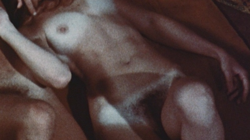 Nudes of NA from An American Hippie in Israel. Breasts, Bush, couple, hairy bush. 729438