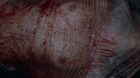 Sarah from Starry Eyes Naked. Breasts, bloody, nude. 751709