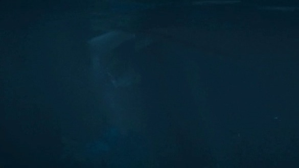 SAGA: Curse of the Shadow's Sexiest Scenes with Clare Niederpruem. Sexy, SFW, underwater. 740952