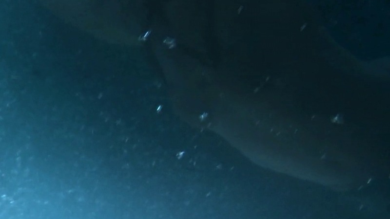 Hottest Clare Niederpruem Scene in SAGA: Curse of the Shadow. Sexy, SFW, underwater. 740954