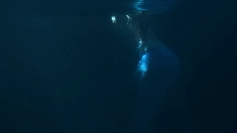 Sexiest Nichelle Aiden Scene in SAGA: Curse of the Shadow. Sexy, SFW, underwater. 740953