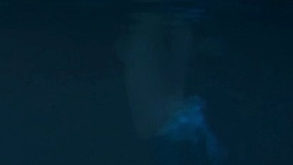 SAGA: Curse of the Shadow's Sexiest Scenes with Nichelle Aiden. Sexy, underwater. 740970