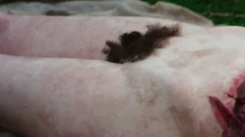 Maura Foley Nude in The Canal. Breasts, Bush, black hair, bloody. 748918
