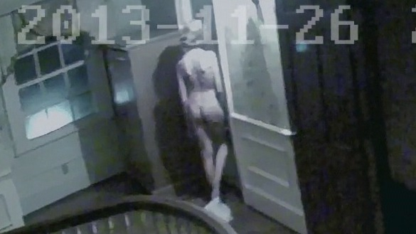 Jill Larson Nude in The Taking of Deborah Logan. Butt, nude, security camera. 751504