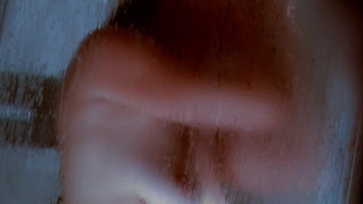 Nudes of Gina Cassidy from Cartel War. Breasts, blurry, glass shower door. 775902