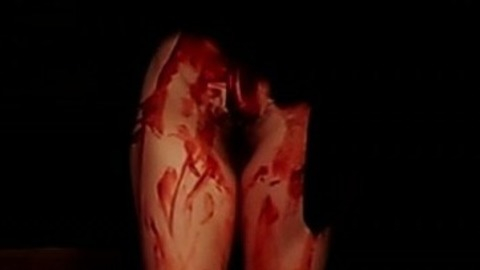Karin Webb Nude in Ten. Bush, bloody, dark room. 762952