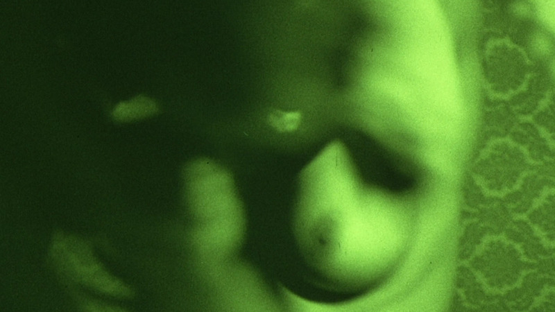Donna Baccala Naked as Elizabeth Hamilton. Breasts, green light, large breast. 785871
