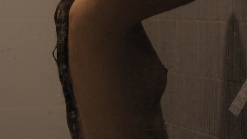 Nudes of Christine Reade from The Girlfriend Experience. Breasts, brunette, nude. 796158