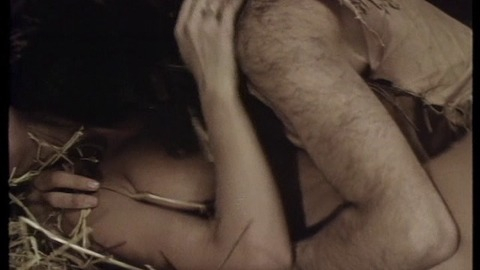 Nicole from Convoy of Women Naked. Breasts, haystack, native american. 792821
