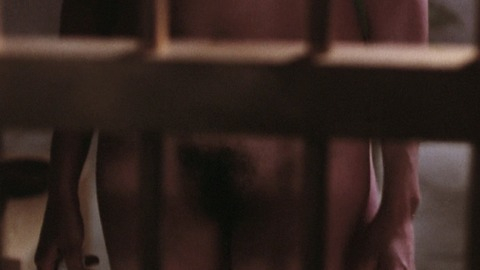 Marianne Graf in Sexy Sisters (1977) Bush Bush Close Up 794414