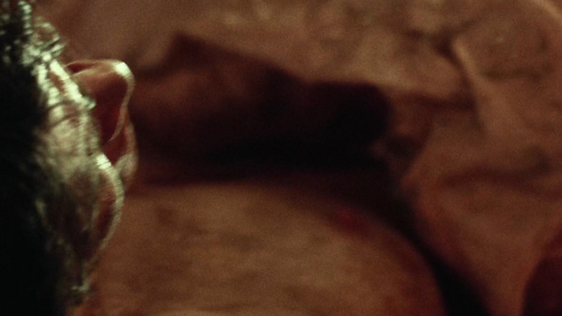 Devin Sidell Naked in 31. Breasts, blood, brunette. 798553