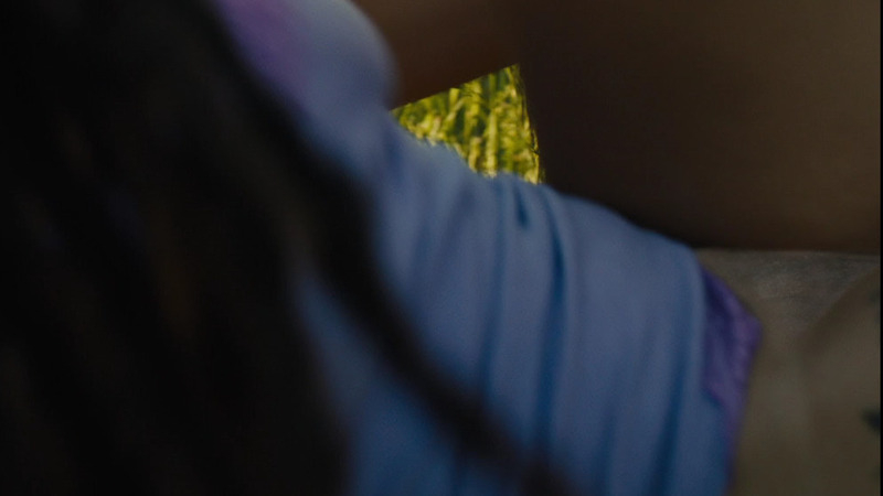 Sasha Lane Naked as Star. Bush, close up, dreadlocks. 804309