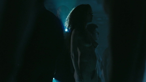Thandiwe Newton Naked as Maeve Millay. Breasts, Bush, backlit, curly hair. 902379