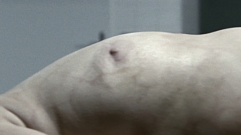 Nudes of NA from Spiral. Breasts, cadaver, dead  body. 803280