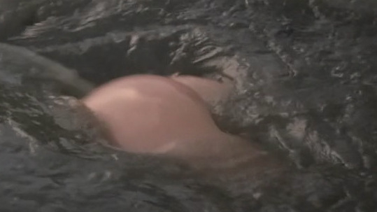 Peri Baumeister Naked as Gisela. Butt, floating above water, nature. 810837