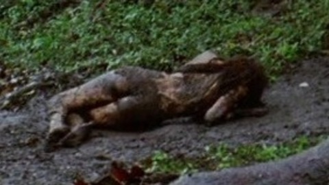 Mallika Sherawat in Hisss (2010) Body Double Butt Body Double Butt 828131