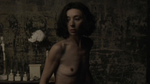 Sylvie Testud Naked in Final Portrait. Breasts, brunette, hard nipples. 836263