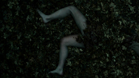 Hottest Julia Goldani Telles Scene in Slender Man. Sexy, SFW, covered in leaves. 842390