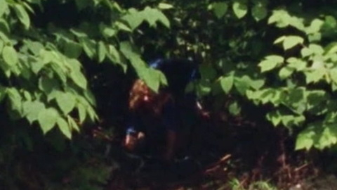 Sexiest Scenes of Joyce "Tilly" Mitchell from Escape at Dannemora. Sexy, doggy style, having sex. 852401