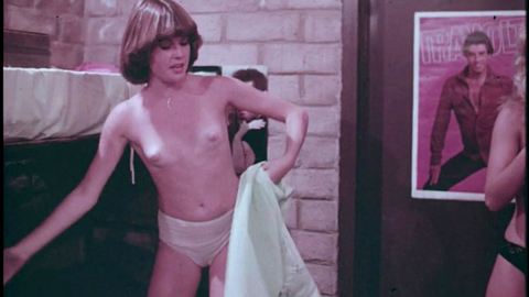 Alexis Schreiner in Summer Camp (1979) Breasts Underwear Breasts Brunette 848651