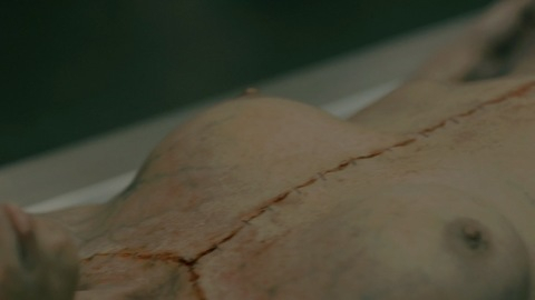 Laetitia Chambon Naked as Anna Becker. Breasts, dead body, morgue. 872889