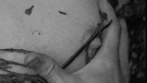 Nudes of Mermaid from The Lighthouse. Breasts, black and white, close up. 895902