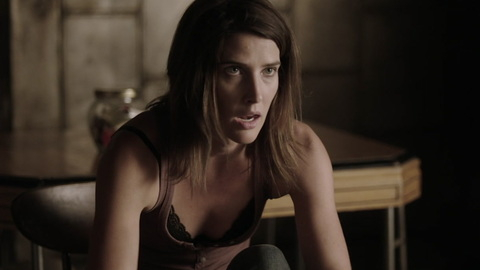 Stumptown's Sexiest Scenes with Cobie Smulders. Bikini, Sexy, SFW, bending forward. 884538