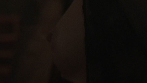 Nudes of Waitress from The Man in the High Castle. Breasts, bar, nude. 889440