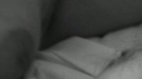Sharon Rodas Naked as Violet. Breasts, bedroom, black and white. 894669