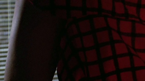 Legal Eagles's Sexiest Scenes with Daryl Hannah. Sexy, SFW, close up. 897444