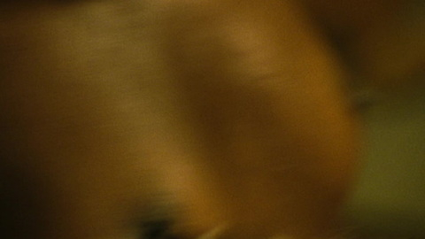 Samira Carvalho Naked as Bambi. Breasts, blurry, close up. 954843