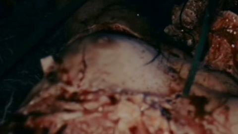 Nudes of Hanna from Boar. Prosthetic, Breasts, Skingoria, blood. 913620