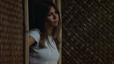 Hottest Jo Ann Harris Scene in The Parallax View. Sexy, brunette, hard nipples. 935078