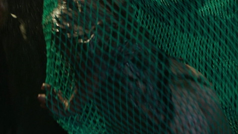 Karen Sollihaug Naked as Woman in Trawl. Butt, fishing boat, fishing net. 967227