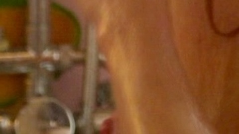 Nudes of Nadia from Amsterdam. Breasts, redhead, right breast. 978294