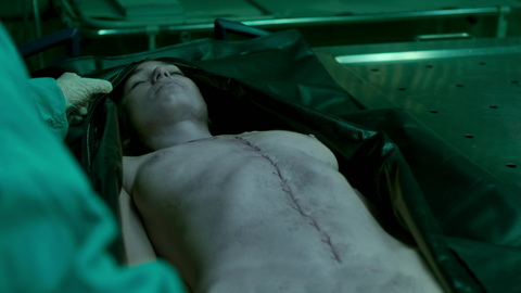 Evelyn Giovine Nude as Dominique Zanghi. Breasts, coroner, corpse. 980030