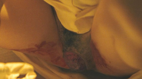 Erica Cho Nude in Dead Ringers. Bush, Cgi, butt, nude. 987490