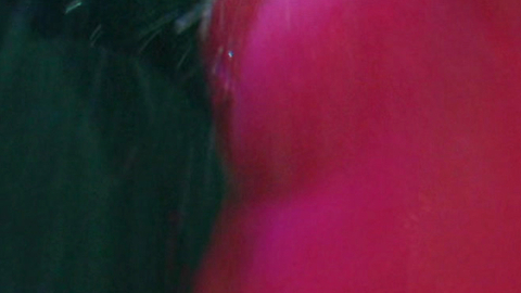 Nudes of Abby Abernathy from Beautiful Disaster. Breasts, Sexy, left breast, left nipple. 987888