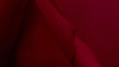 Helena Englert Naked as Inez. Breasts, left breast, left nipple. 988089