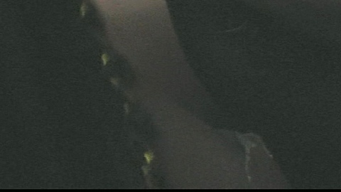 Hottest Jasmine Batchelor Scene in Emperor of Ocean Park. Sexy, Black, black woman. 1003994