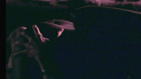 KiKi Layne Naked in Dandelion. Butt, Sexy, Black, campfire. 1004803