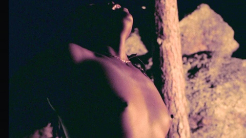 Dandelion from Dandelion Naked. Breasts, Sexy, Black, campfire. 1004807