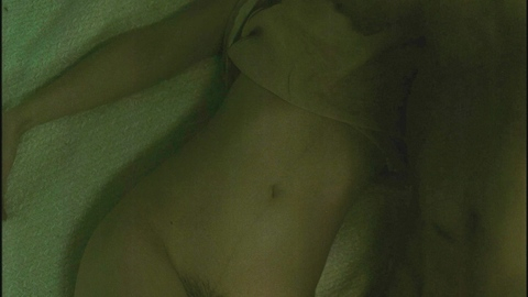 Felicity Jones Nude in The Brutalist. Body Double, Bush, dress lifted up, nude. 1008262