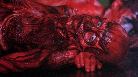 Deborah Joel Nude as Skinless Julia. Breasts, Prosthetic, Prosthetic breasts, SFW. 1005770