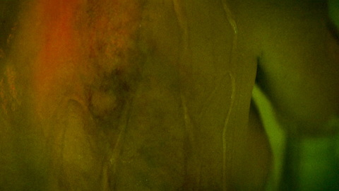 Sexiest Scenes of Riya from Ash. Sexy, back, bruises. 1011497
