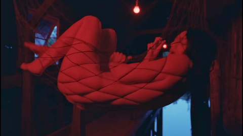Lorde Nude as Self. Butt, hammock, in net. 1011554