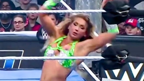 Ashley Fliehr Naked in WWE SmackDown. Bikini, Breasts, blonde, large breasts. 1015219