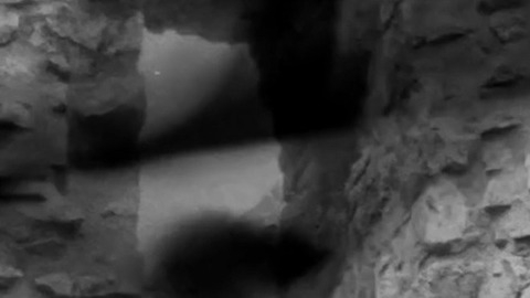 Judy Church in Taking Tiger Mountain: Revisited (2019) Bush Bush 1018512